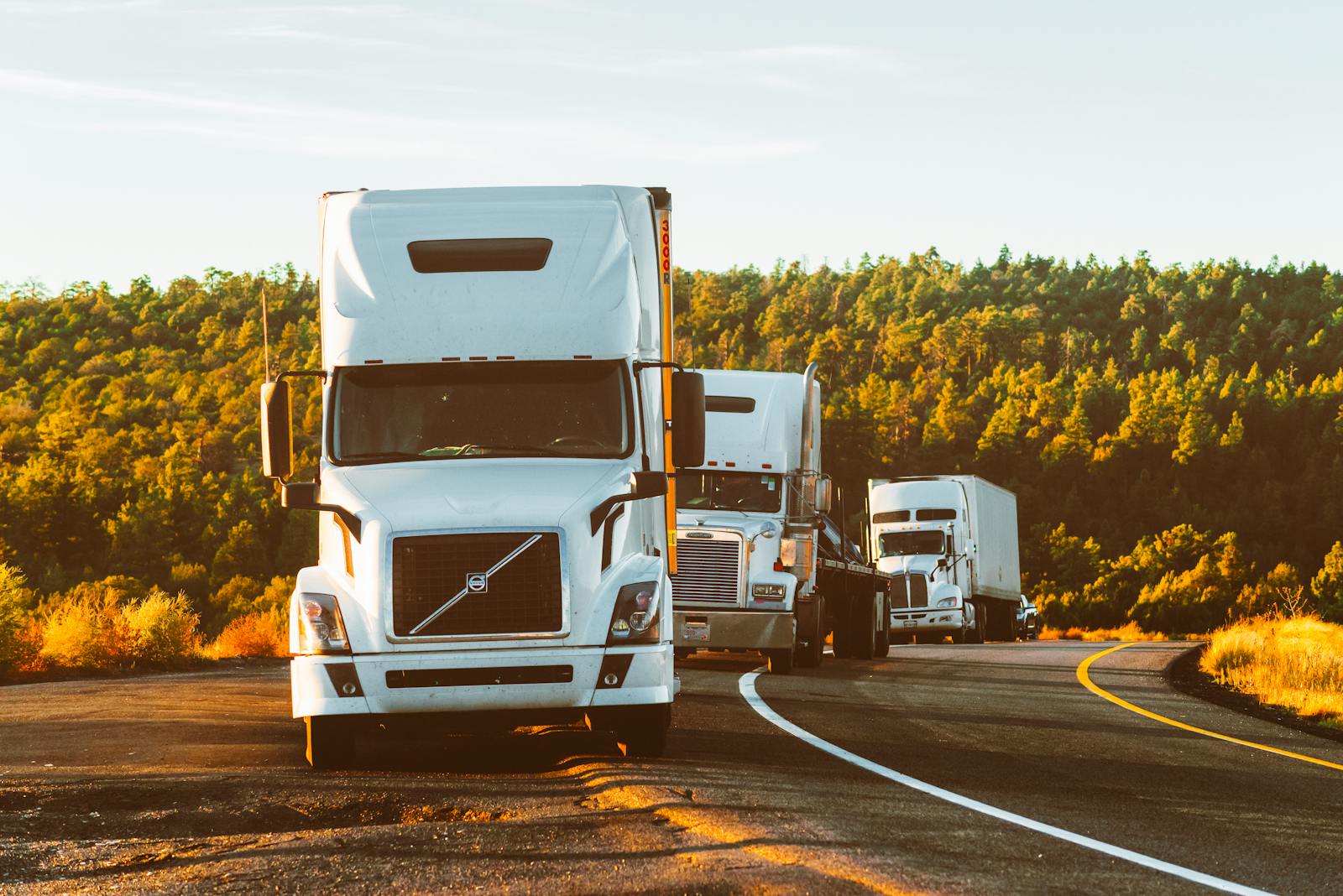 RODEO TRUCKING LLC